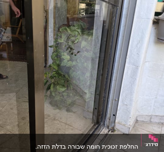חלון זכוכית עם צמחייה ברקע